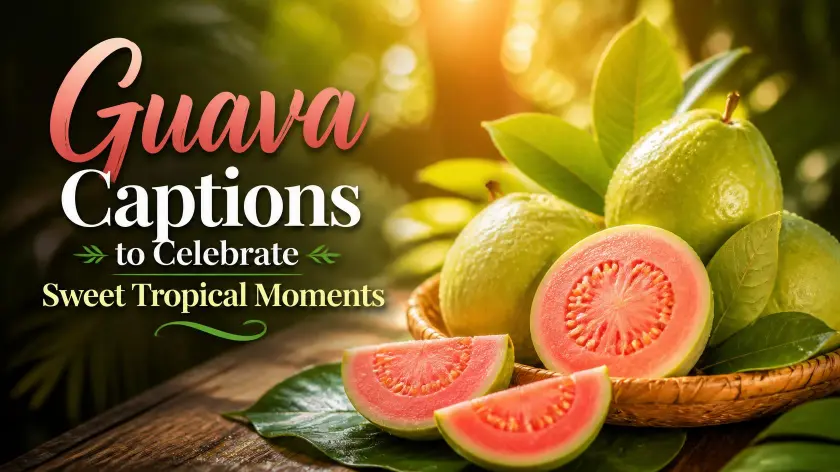 Guava Captions to Celebrate Tropical Moments
