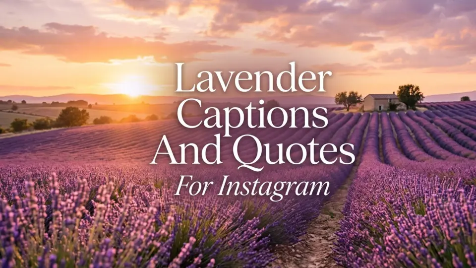 Lavender Captions and Quotes for Instagram
